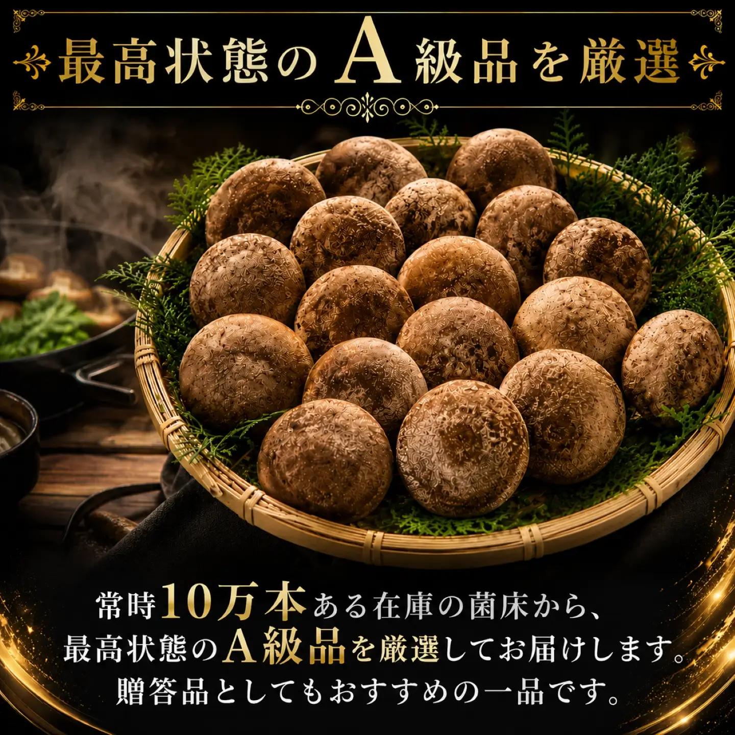 生椎茸 約 500g ～ 600g 約 15個 椎茸