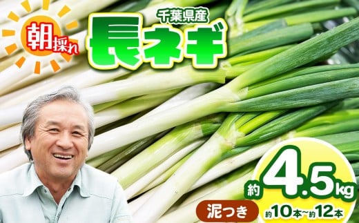 【 泥つき 】 長ネギ 約4.5kg （約10～12本） にがり農法 | 鈴木アル・ファーム ねぎ 泥付き ネギ 長ネギ 長ねぎ お鍋 国産 新鮮 詰め合わせ 産地直送 朝採れ 栄養たっぷり 冬野菜 旬 千葉県 君津市　きみつ