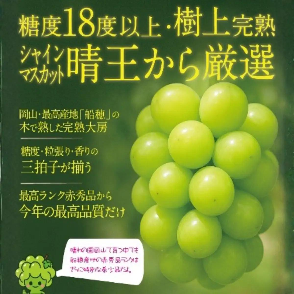 【2回定期便】木熟ぶどう ハレノシャイン シャインマスカット プレミアム 晴王 １房( 800g以上)2回お届け | シャインマスカット 晴王 ハレノシャイン 木熟ぶどう プレミアム 800g以上 1