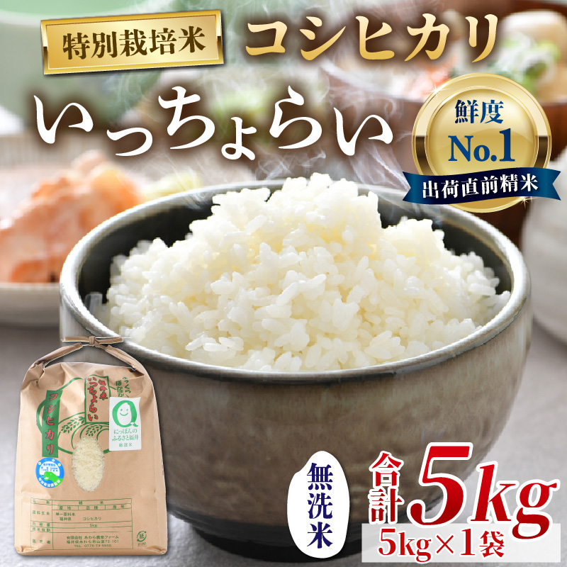 【9月下旬より発送開始】【令和6年産新米】【一等米】特別栽培米 いっちょらい 無洗米 5kg ／ 福井県産 ブランド米 コシヒカリ ご飯 白米 新鮮 大賞 受賞