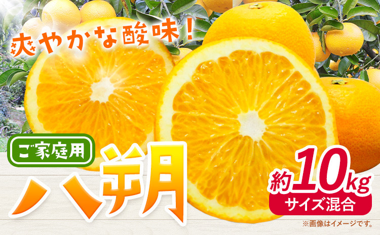 
            みかん 八朔 ご家庭用 10kg サイズ混合 GOGO農園《10月下旬-12月末頃出荷》 和歌山県 日高川町 はっさく みかん 柑橘 蜜柑 フルーツ 送料無料 st-p
          