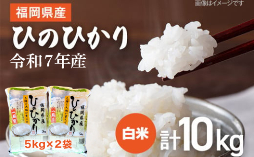 【令和7年産】 福岡県 大木町産 ひのひかり 10kg　BC01
