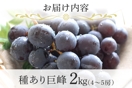 【 2026年 先行予約 】 「加温ハウス栽培」 巨峰 2kg（ 種あり ） 久家ぶどう園 2房 ぶどう ブドウ 有機 肥料 ハウス 栽培 国産 果物 くだもの 葡萄 フルーツ 2キロ  夏 旬 品種