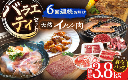 【6回定期便】猪肉バラエティ部位セット総量3.8kg [OAJ073]