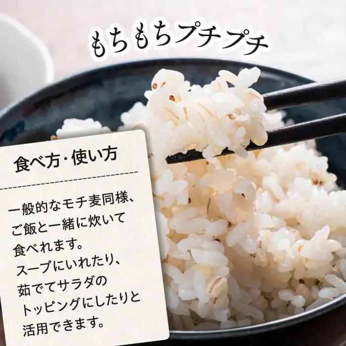 AB1-009 千葉県長生村産　自然栽培　ダイシモチ麦（六条大麦）300g×4袋