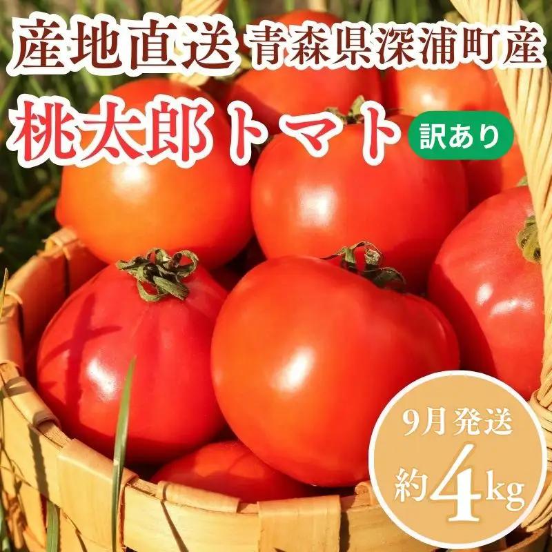【9月発送】訳あり 青森県産 桃太郎 トマト 約4kg 大玉 tomato 新鮮 野菜 旬 甘い 完熟 ジュース 産地直送 農家直送 [fu-0022-003-09]