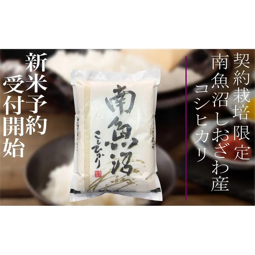 【令和8年産　新米予約】定期便6ヶ月：精米5Kg 契約栽培限定 南魚沼しおざわ産コシヒカリ【定期便 銘柄米 ブランド米 精米 こしひかり コシヒカリ 魚沼産 新潟米 ごはん】【2026年10月上旬から1ヶ月以内に順次発送予定】