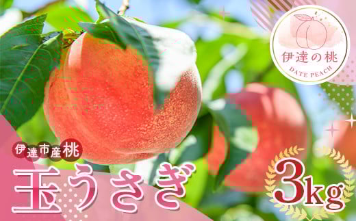 福島県産 玉うさぎ 3kg 2025年8月下旬～2025年9月上旬発送 2025年出荷分 先行予約 予約 新品種 たまうさぎ 固め 伊達の桃 桃 もも モモ 果物 くだもの フルーツ 国産 食品  F20C-835