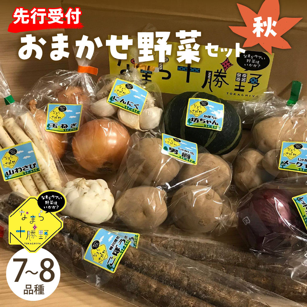【2026年10月より配送】北海道十勝芽室町 なまら十勝野の季節のおまかせ野菜セット（秋） me001-004c