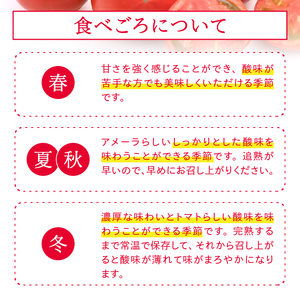 a10-371　アメーラ トマト 高糖度 トマト 産地 直送 化粧箱入