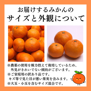 ＜先行予約＞＜12月発送予定＞家庭用 濃厚みかん2kg+60g（傷み補償分）【わけあり・訳あり】【光センサー選果】※北海道・沖縄・離島配送不可 / 和歌山 ミカン オレンジ 柑橘 フルーツ 果物 くだ