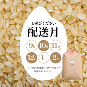 令和6年産 ふじもとファームの新米【コシヒカリ（玄米）10kg】 9月配送