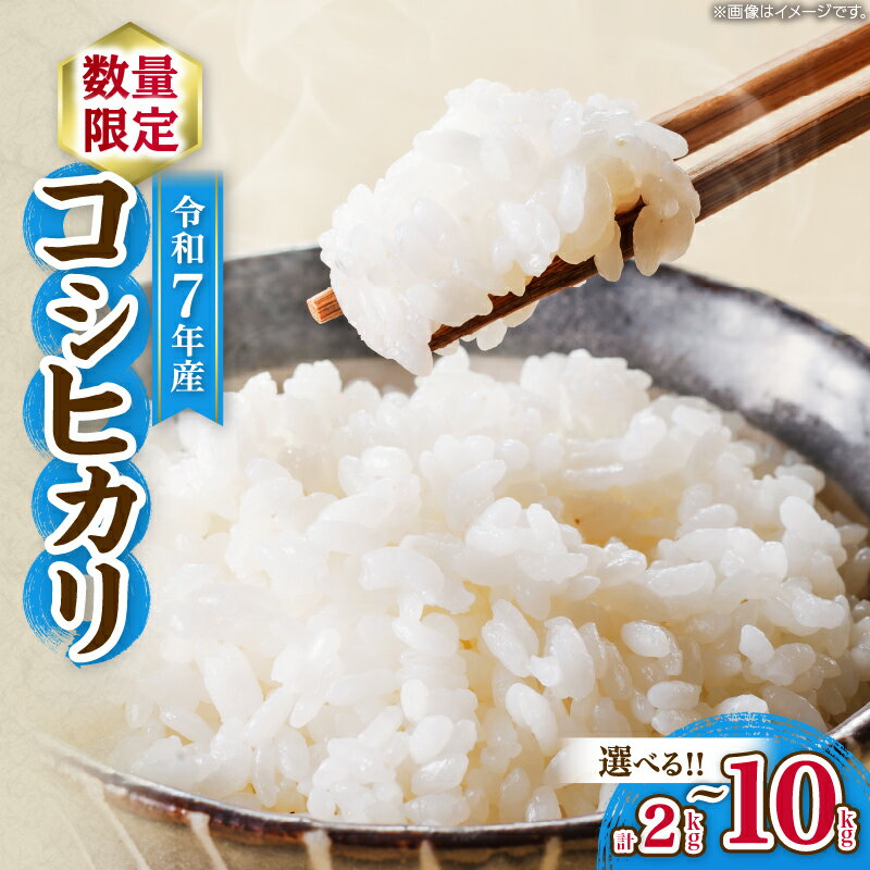 【ふるさと納税】≪内容量が選べる≫ 令和7年産 コシヒカリ お米 ご飯 ライス 国産 数量限定 期間限定 人気 食品 精米 白米 こしひかり 有洗米 おにぎり お弁当 炊き込みご飯 雑炊 ギフト プレゼント 贈り物 お取り寄せ 産地直送 宮崎県 日南市 送料無料