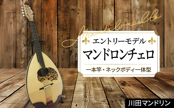 
【エントリーモデル】マンドロンチェロ [No.292] ／ 楽器 岐阜県 特産品
