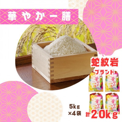 【発送月固定定期便】10月より順次発送!蛇紋岩ブランド 華やか一膳 20kg(5kg×4)全3回【4070721】