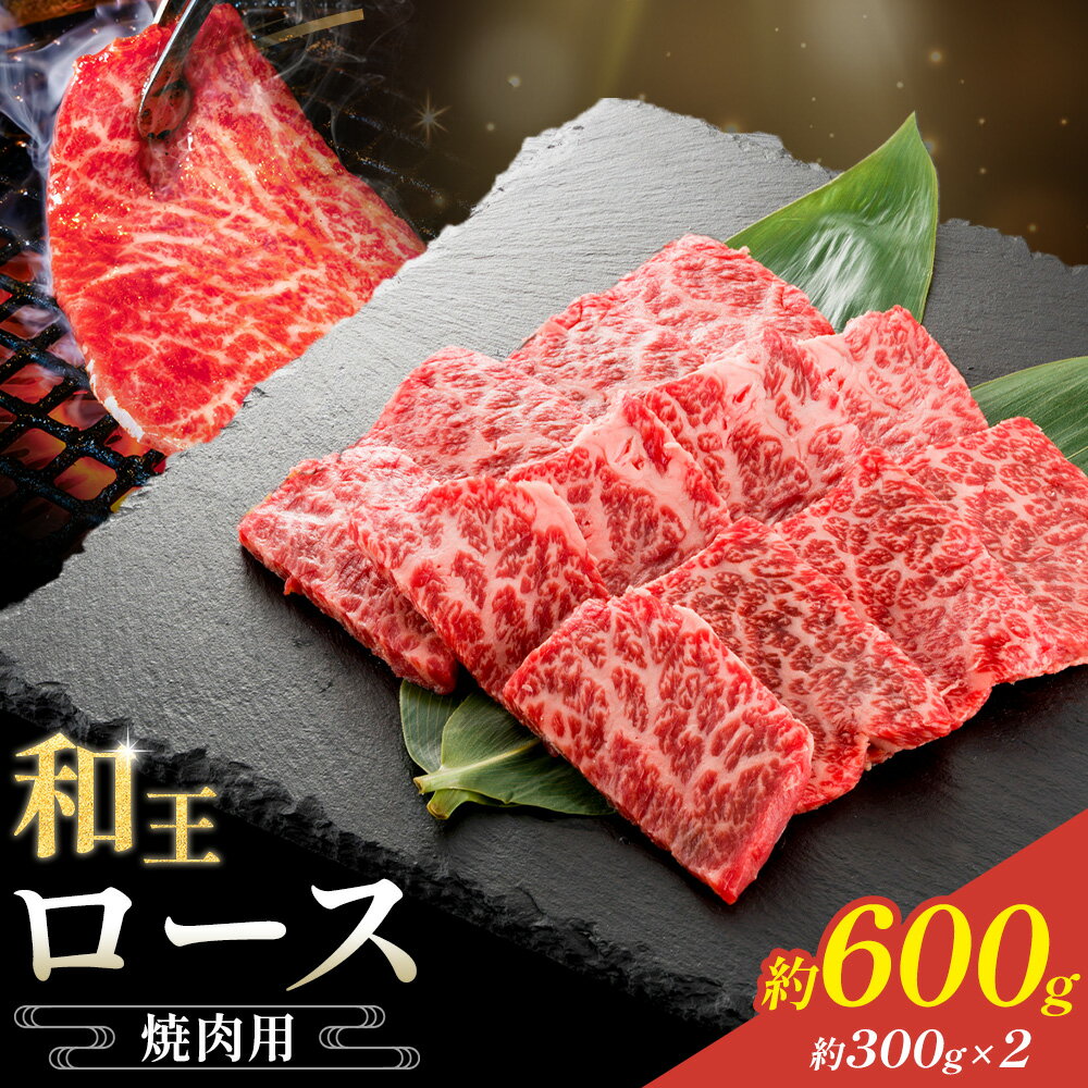 【ふるさと納税】和王 ロース 焼肉用 約600g 約300g×2パック 菊池地域農業協同組合(JA菊池まんまキッチン)《90日以内に出荷予定(土日祝除く)》熊本県 菊池市 くまもと黒毛和牛 和牛 牛肉 お肉 焼き肉 熊本県産 九州産 国産 冷凍 送料無料
