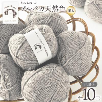 ふるさと納税 江南市 あみもねっと アルパカ天然色並太 3番色 10玉セット