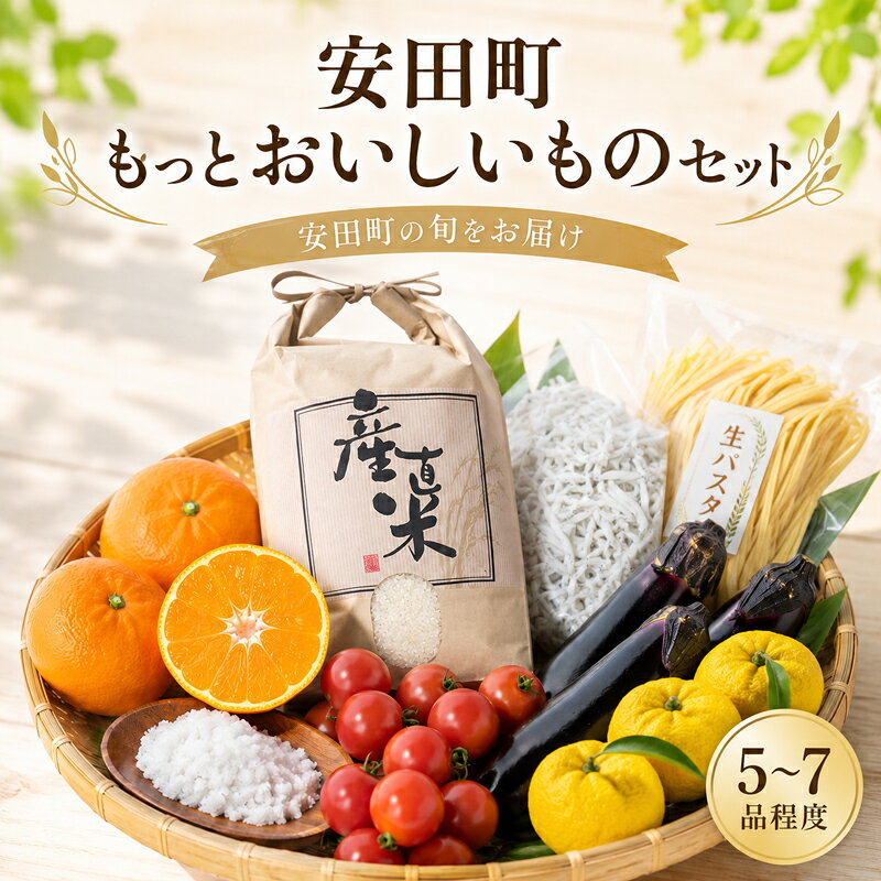 【ふるさと納税】 もっと！ おいしいものセット 野菜 果物 パスタ 海産品 調味料 詰め合わせ セット 1万円 10000円 生パスタ 干物 お菓子 スイーツ 海産物 加工品 ポン酢 味噌 高知県 安田町 TR-07