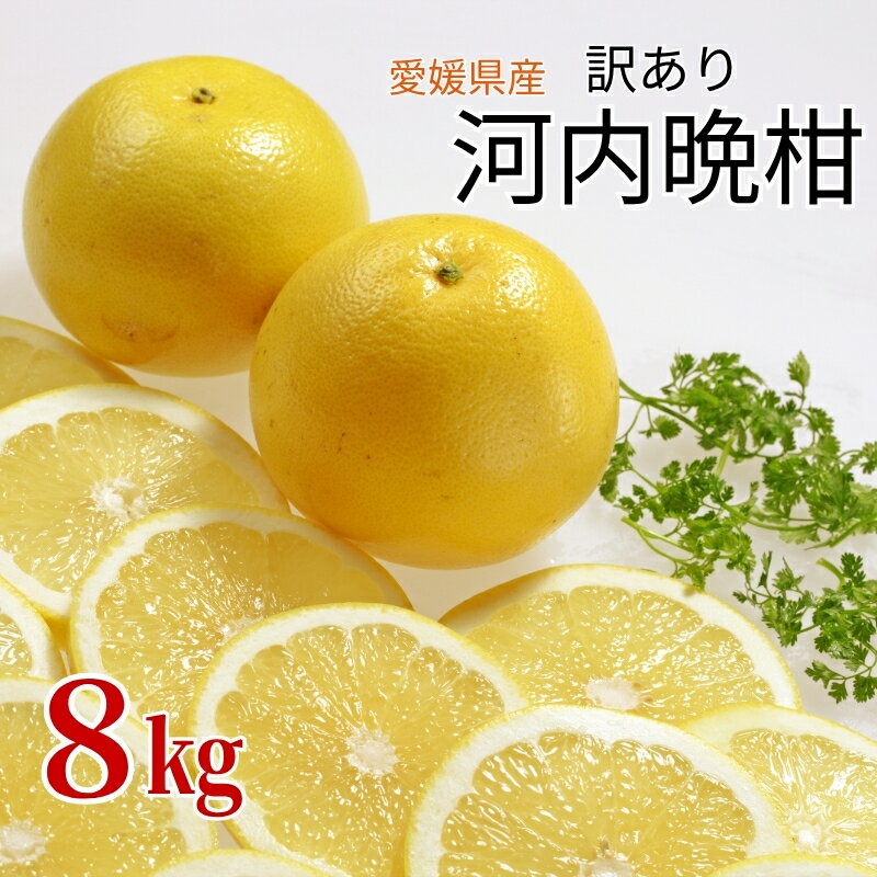 【ふるさと納税】訳あり 河内晩柑 8kg ご家庭用 人気 【2026年4月以降順次発送】かわちばんかん 数量限定 先行予約 さっぱりした甘味 みかん 柑橘 蜜柑 くだもの フルーツ 国産 愛媛 伊予市｜B150