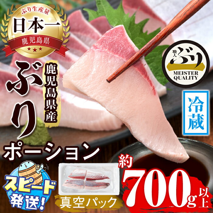 【ふるさと納税】＜すぐ届く！＞鹿児島産冷蔵ぶり刺身用 皮無ポーション(計700g以上・背側、腹側計4P)ぶり ブリ 鰤 魚 海鮮 魚介 刺身 さしみ しゃぶしゃぶ 焼魚 煮魚 ポーション 皮無し 半身 国産 鹿児島県産 垂水市産 冷蔵 養殖 ぶり職人【アクアブルー】B2-4768