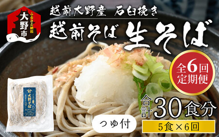 【6ヶ月定期便】生そば 5食 × 6回 計30食 つゆ付｜越前そば  大野  名水  石臼挽き