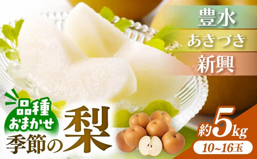 
                  ＜品種おまかせ＞季節の梨 約5kg(10～16玉入り) 豊水 秋月 新興【梨 なし ナシ ほうすい あきづき しんこう フルーツ 果物 果実 旬 贈答 ギフト おすすめ 人気 おまかせ 福岡県 筑前町 送料無料 AK003】【価格改定】
                