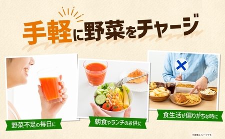 【定期便】3ヵ月毎全4回野菜生活100 アップルサラダ 720mlPET ns038-071 飲料 ｶｺﾞﾒ ﾌﾙｰﾂｼﾞｭｰｽ ｾｯﾄ ﾐｯｸｽｼﾞｭｰｽ