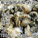 【ふるさと納税】[北海道根室産]根室海鮮市場＜直送＞生食用灯台つぶ250g×3P(計750g) A-28123