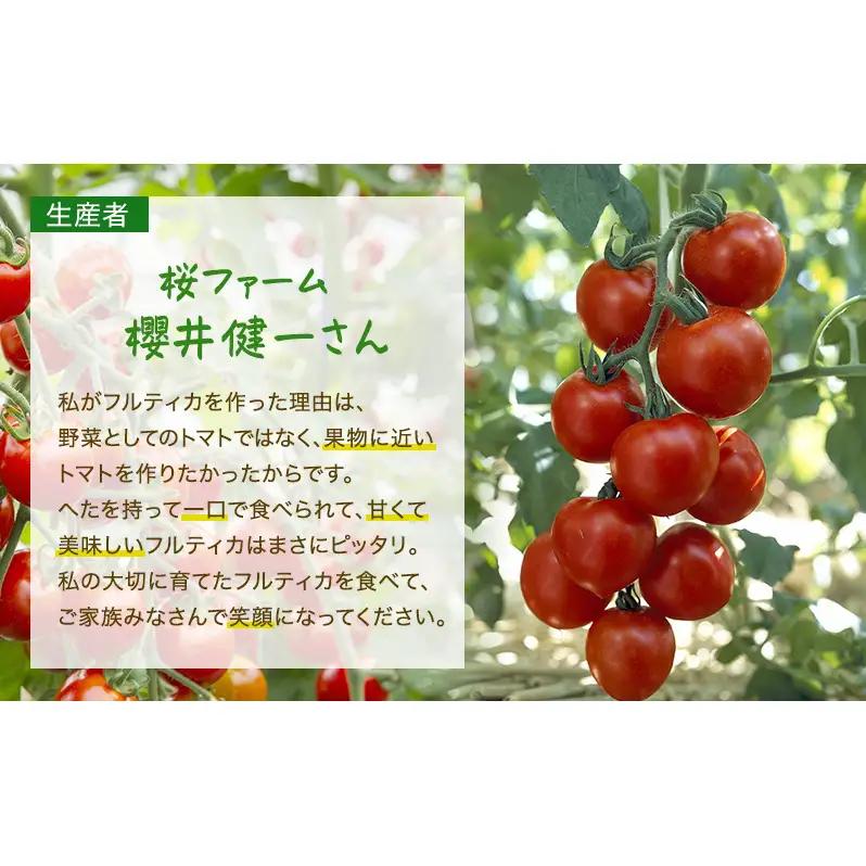 トマト 中玉 フルティカ 樹上完熟 農家直送 トマト【1.5kg】
