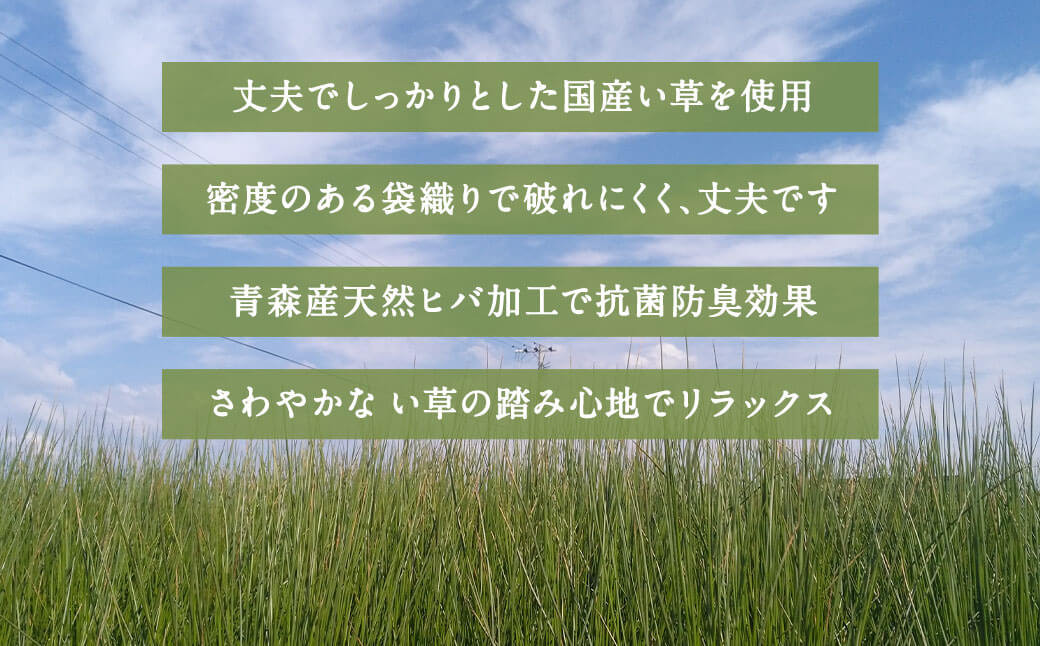 い草 玄関マット Fマルコス 50×80cm（グレイ/イエロー）屋内