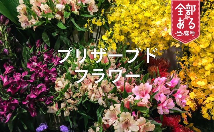 
            プリザーブドフラワー 小サイズ 花工房比呂 北海道 当麻町 お花 花 バラ フラワーアレンジメント 誕生日 結婚祝い 新築祝い 記念日
          