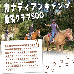 【乗馬体験チケット】ミニ遠乗り20分～初心者向け、5歳以上～(1名様) 体験 乗馬 チケット【曽於市観光協会】 A783