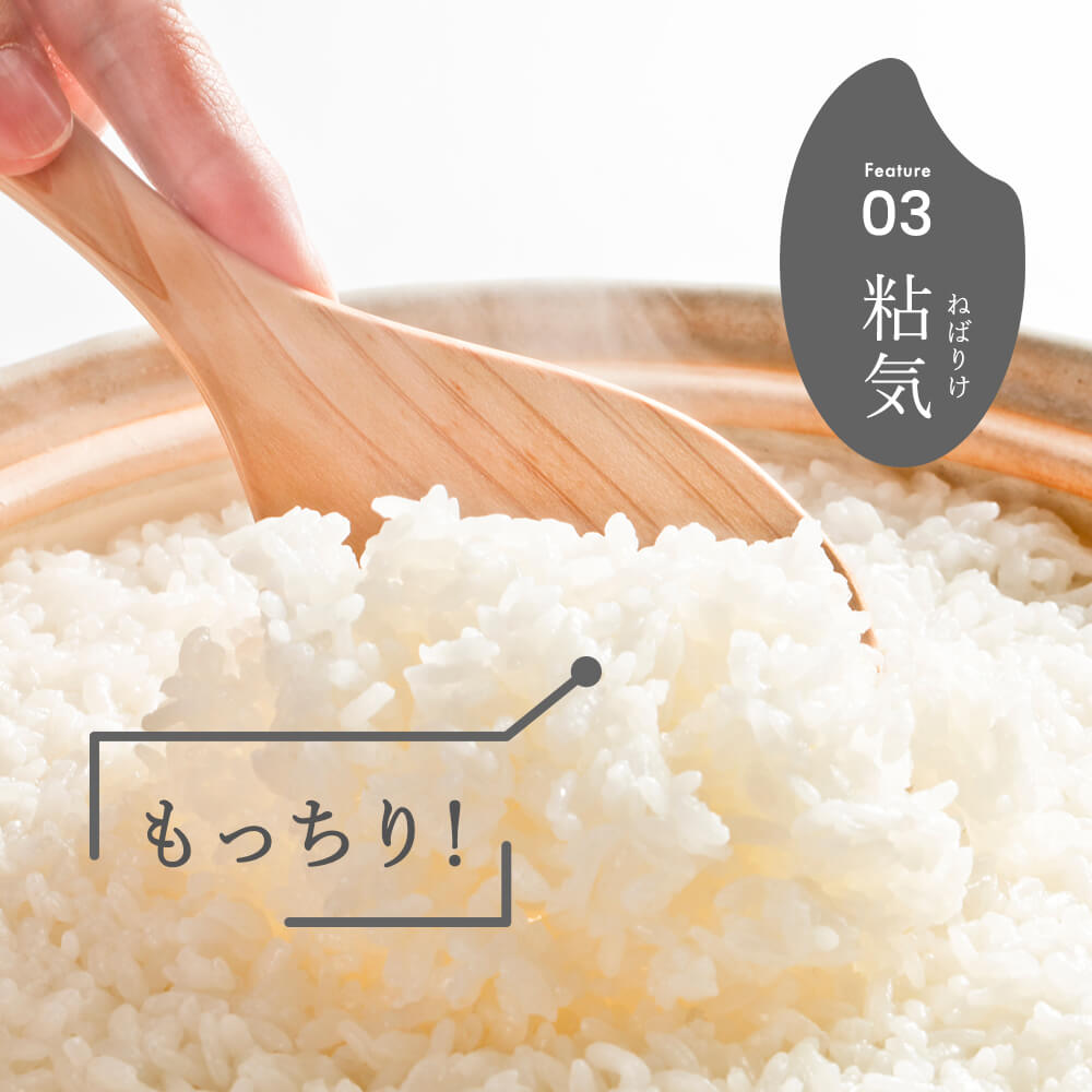 令和7年産 新潟県産 コシヒカリ 7kg 精米 新米 お米 白米 コシヒカリ こしひかり おすすめ 人気 こめ コメ 新潟 見附 見附市 7年 2025年産 ふるさと納税 諸長