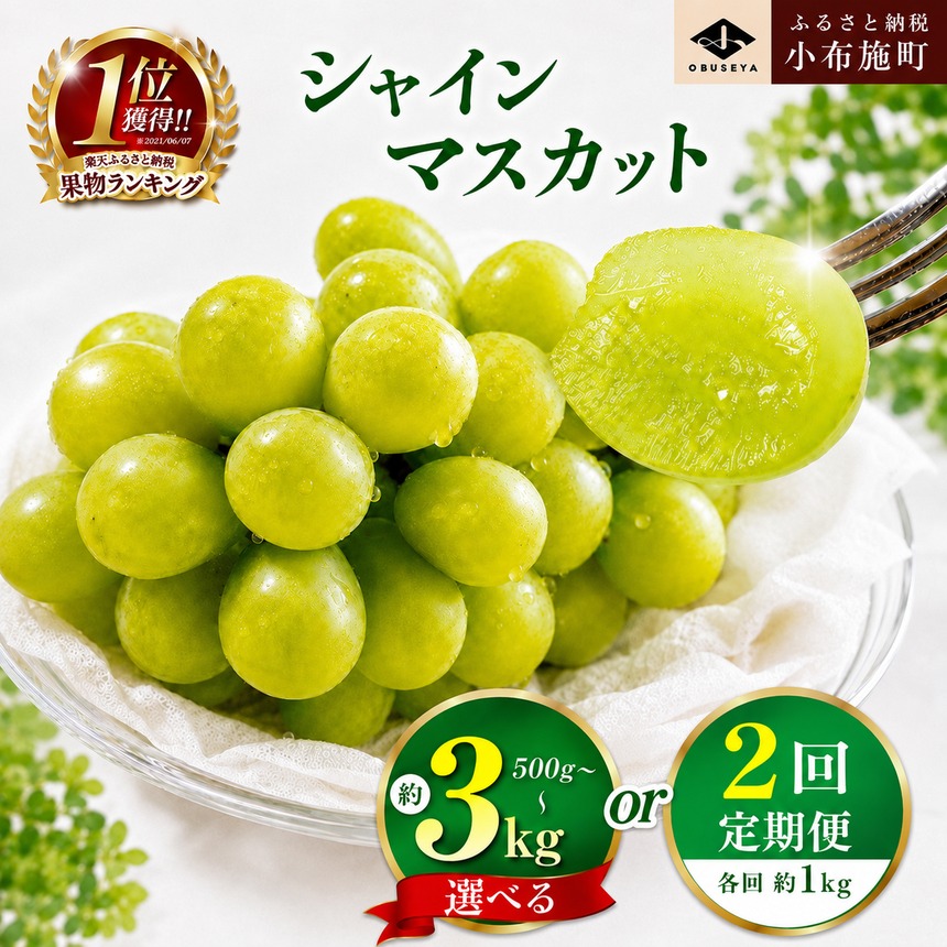 シャインマスカット（約1kg）