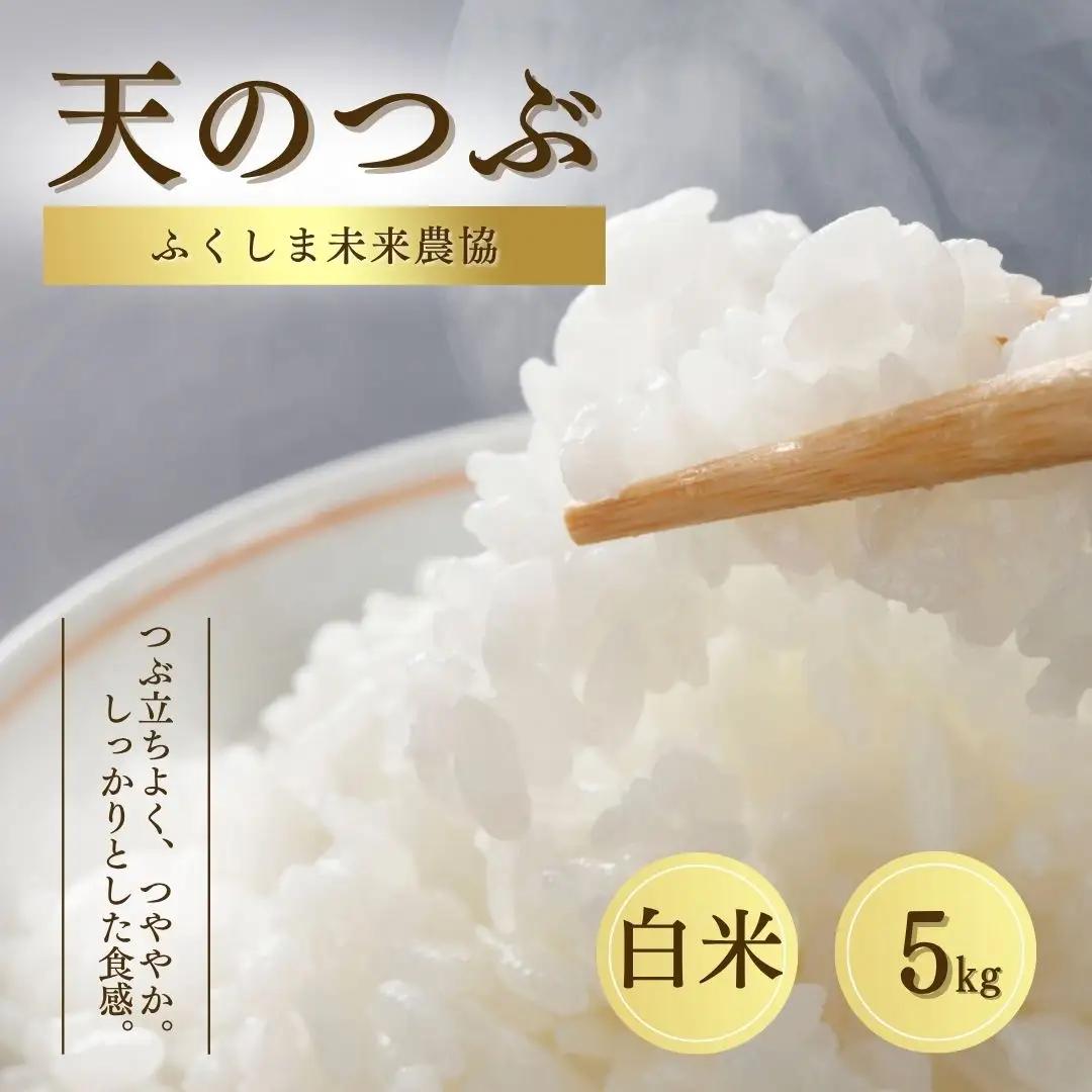令和7年産 天のつぶ 白米 5kg | 福島県産米 ふくしま未来農協 