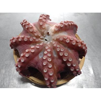 ふるさと納税 羅臼町 羅臼産たこ足カット 700g(2〜4パック) |  | 01