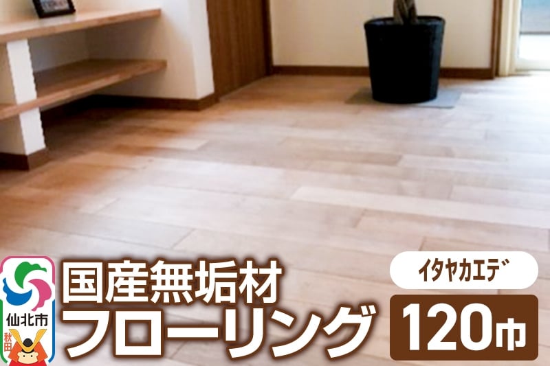 
国産 無垢 フローリング 120巾 素材：板谷楓（イタヤカエデ）
