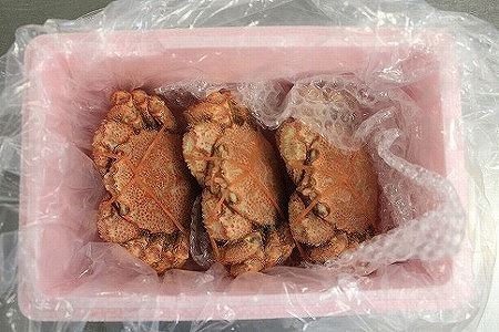 【北海道根室産】毛ガニ330g前後×3尾 C-66010