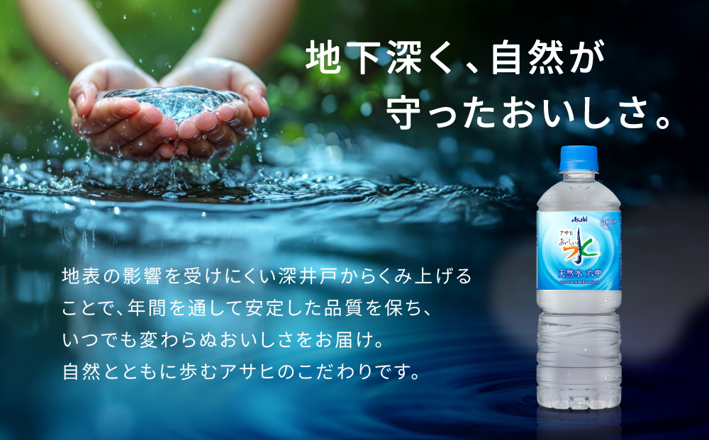 アサヒ飲料 おいしい水 天然水 六甲（600mlペットボトル×24本）