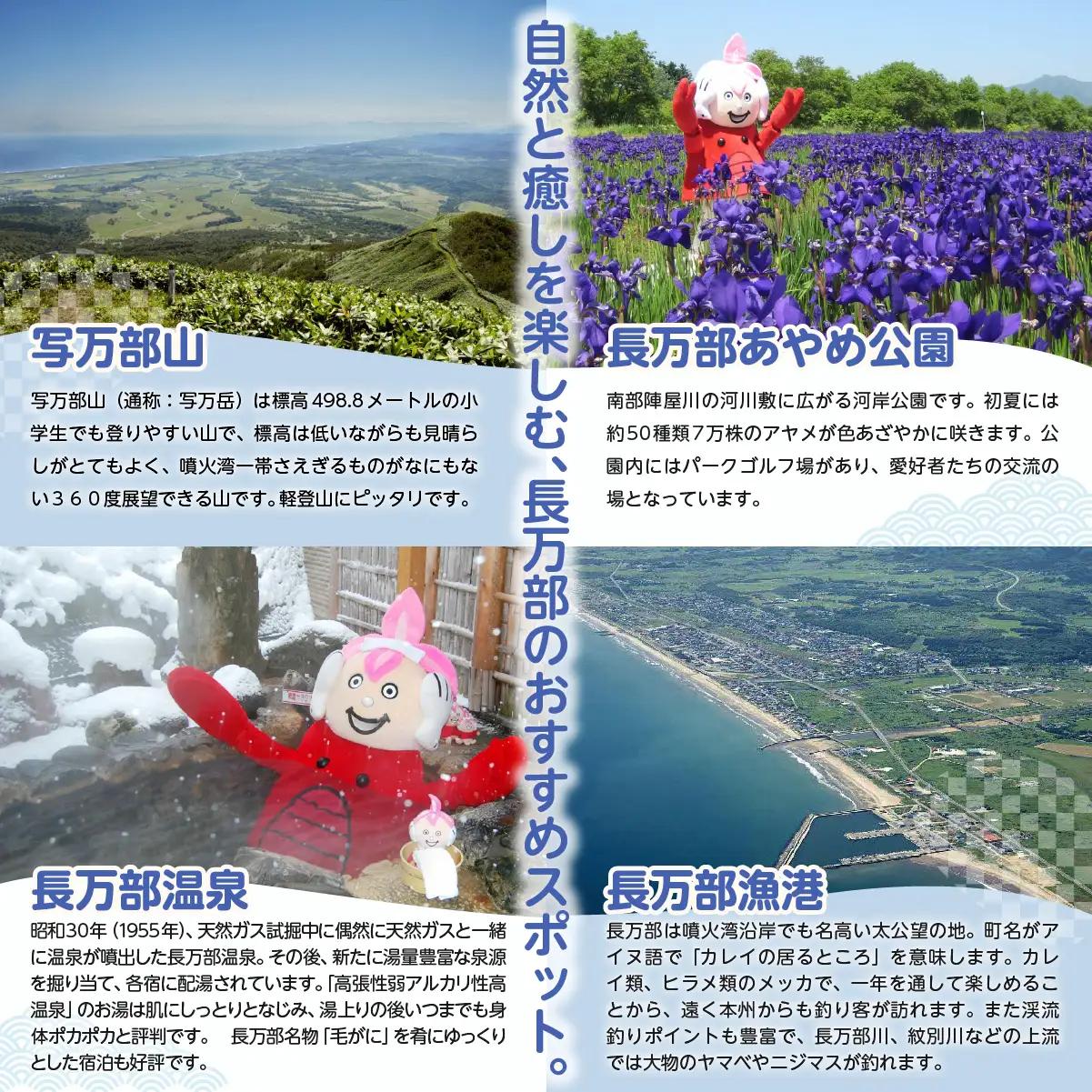 新感覚ショコラ　雪花青 6枚入×4袋 OSMP001 | 雪花青