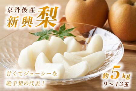 梨／新興梨【先行予約】甘～ぃ！ジューシー！！晩生梨の代表 京丹後産 新興梨 5kg（9～13玉）（2025年10月中旬～発送） 梨 なし ナシ 新興梨 5キロ 予約 果物 くだもの フルーツ 期間限定 国産