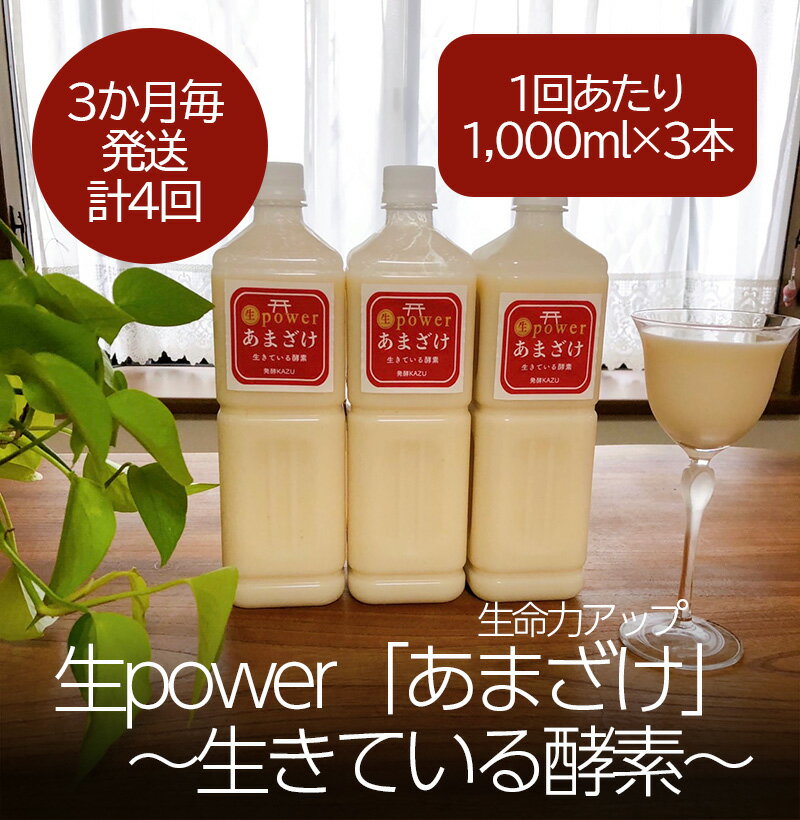 【ふるさと納税】生命力アップ 生 power「あまざけ」 ～生きている酵素～【3本セット】3か月毎(全4回)（DV137）