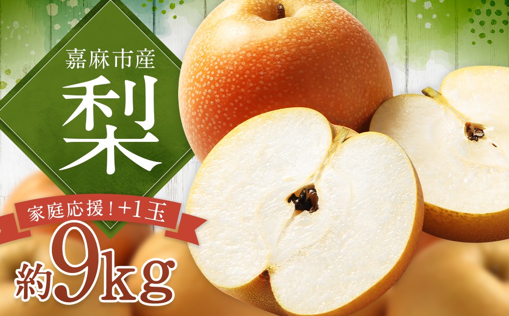 
                  【家庭応援】 梨 9.0kg+1玉 ナシ なし 果物 くだもの フルーツ 九州産 福岡県 嘉麻市 【2026年8月上旬～12月上旬発送予定】
                