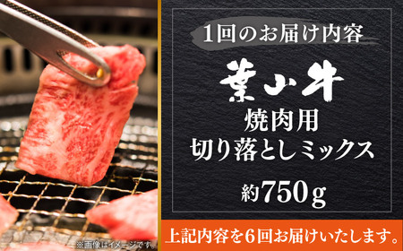 【全6回定期便】葉山牛750g　焼肉用ミックス 牛肉（ロース、モモ、カルビ等） 食べ比べ[ASBD032]