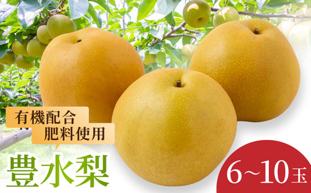 【先行予約】有機配合肥料使用 豊水梨 6玉から10玉 2025年8月中旬から8月下旬 出荷予定【春光園】 梨 なし 果物 フルーツ