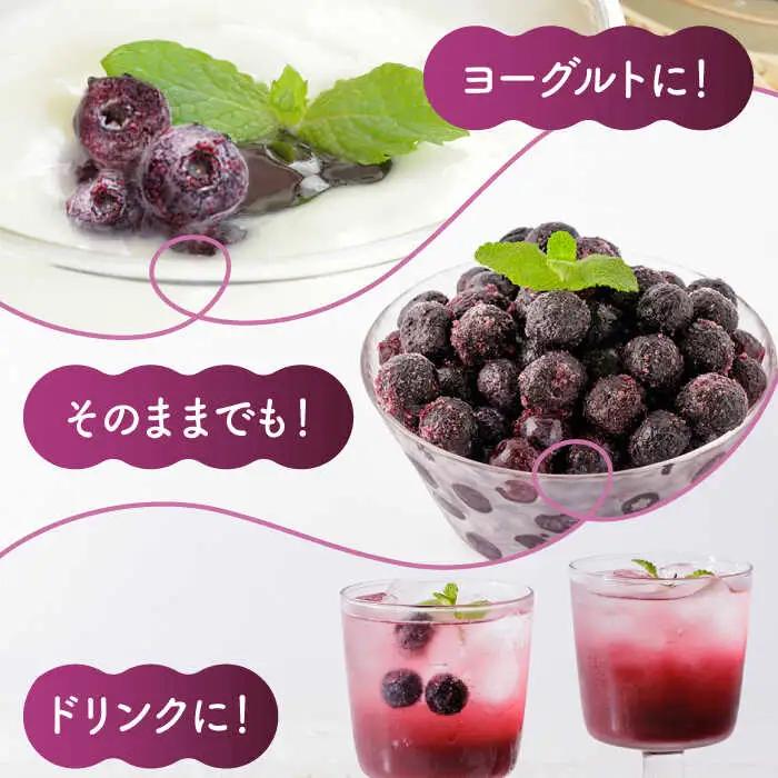 大粒 冷凍ブルーベリー 約1000g（約500g×2pc） 【すみれファーム】果物 フルーツ くだもの 大粒 小分け 熊本県産ブルーベリー [ZEP007] 