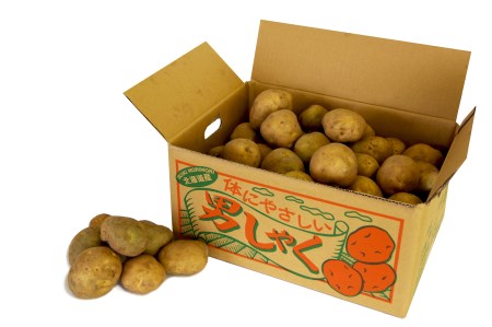 Ｒ7年産　じゃがいも　約10kg　男爵　ヤナセ農園/014-27094-b01D