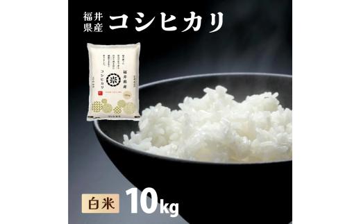 【定期便3回】福井県産 コシヒカリ 精米 10kg（10kg×1）＜令和7年産 / 数量限定 ＞【米 コメ お米 精米 白米 無洗米 玄米 ご飯 飯 こしひかり ブランド米 国産】[095-t3-a003]