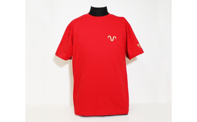 エリース豊島 2025 ロゴプリントTシャツ・レッド Tシャツ スポーツ サッカー クラブチーム 豊島区 東京都【L】