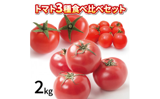 トマト ミニトマト 2kg 3種 食べ比べ セット 冷蔵 詰め合わせ 千果 シンディスイート かれん 野菜 完熟 糖度 果物 スイーツ ジュース パスタ スパゲティー ソース サラダ ドレッシング 鍋 サンドイッチ ハンバーガー ピザ カレー ギフト 贈答 プレゼント お取り寄せ グルメ 送料無料 徳島県 阿波市 
